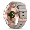 Garmin D2 Delta S